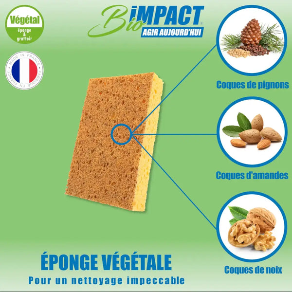 éponge végétale fabriquée en France à base de coquilles amandes