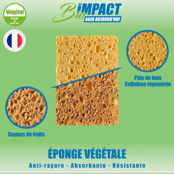 lot de 4 eponges saine vaisselle douche menage végétale bioimpact