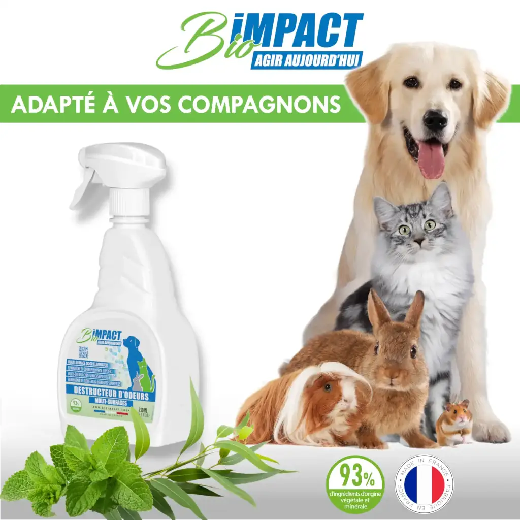 Bioimpact:6 Pack Pet Odor Destroyer - Eliminates Urine, Stool & Vomit ...